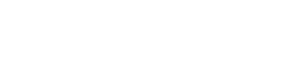 Ramírez Venegas Consultores